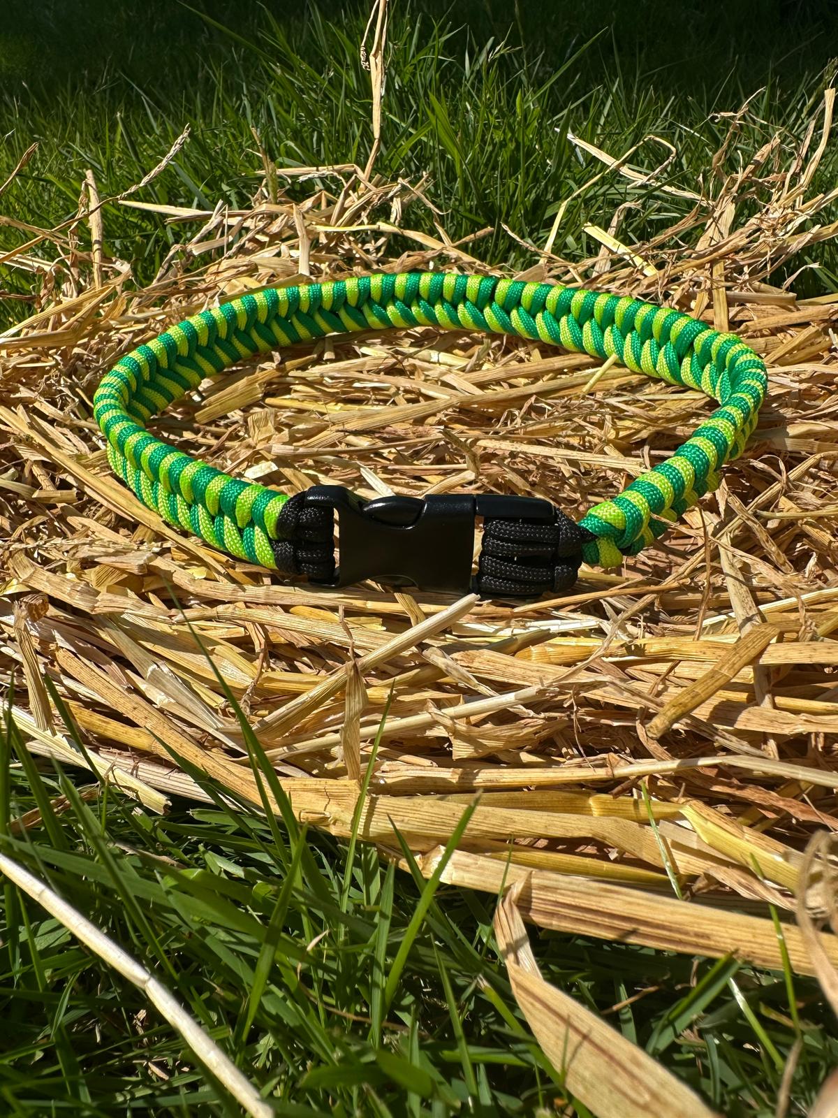 Snaketail – Bild 3