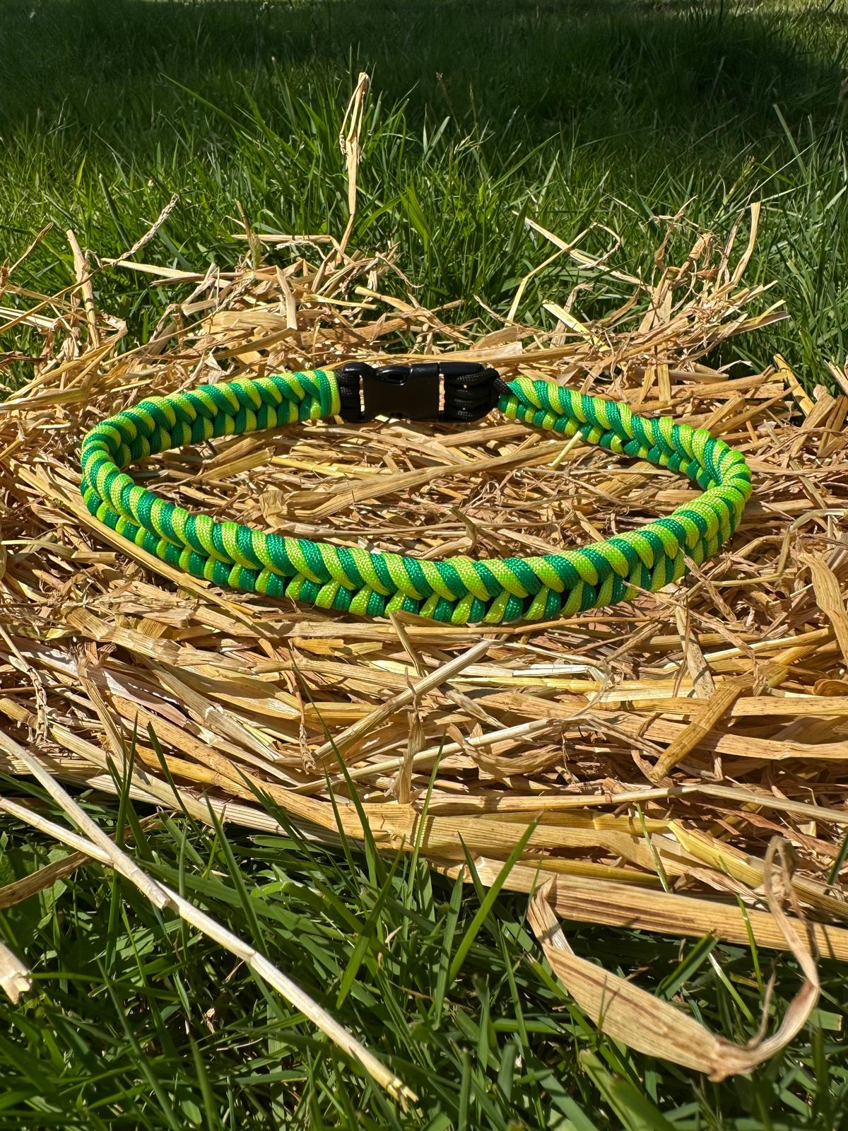 Snaketail – Bild 2