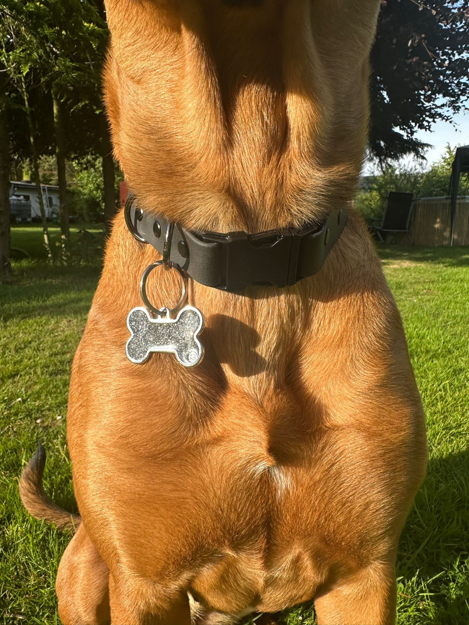 Basic Chic - Beta – Bild 8