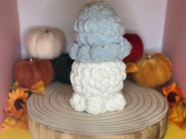Oktopus – Bild 2