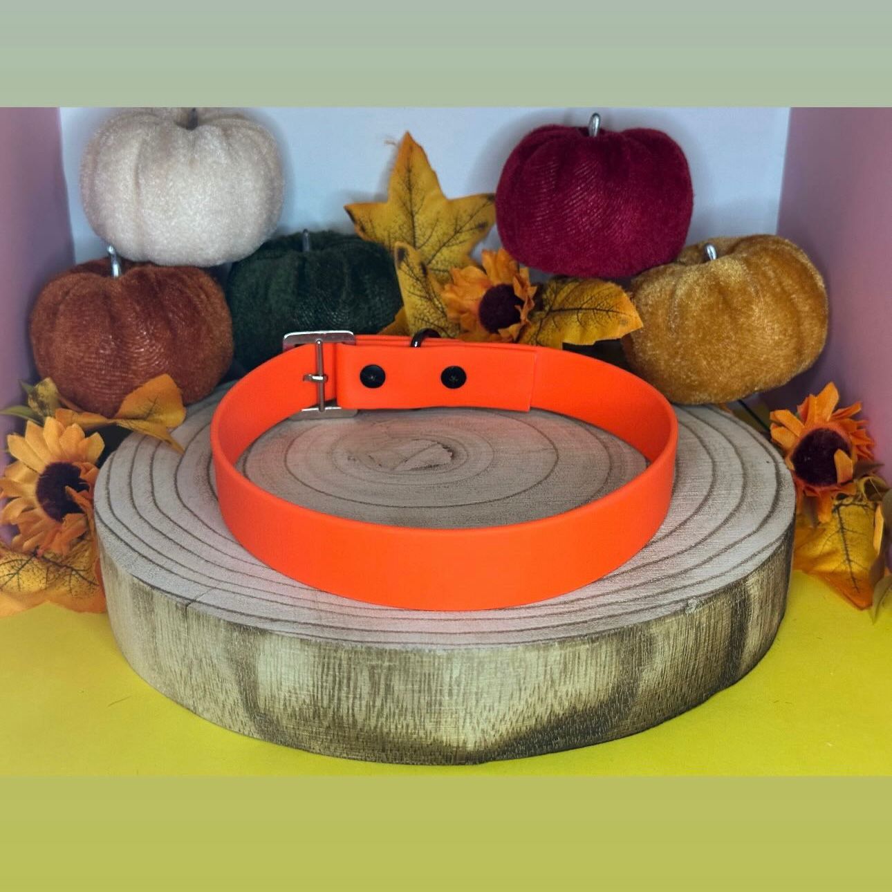 Basic Chic - Beta – Bild 3