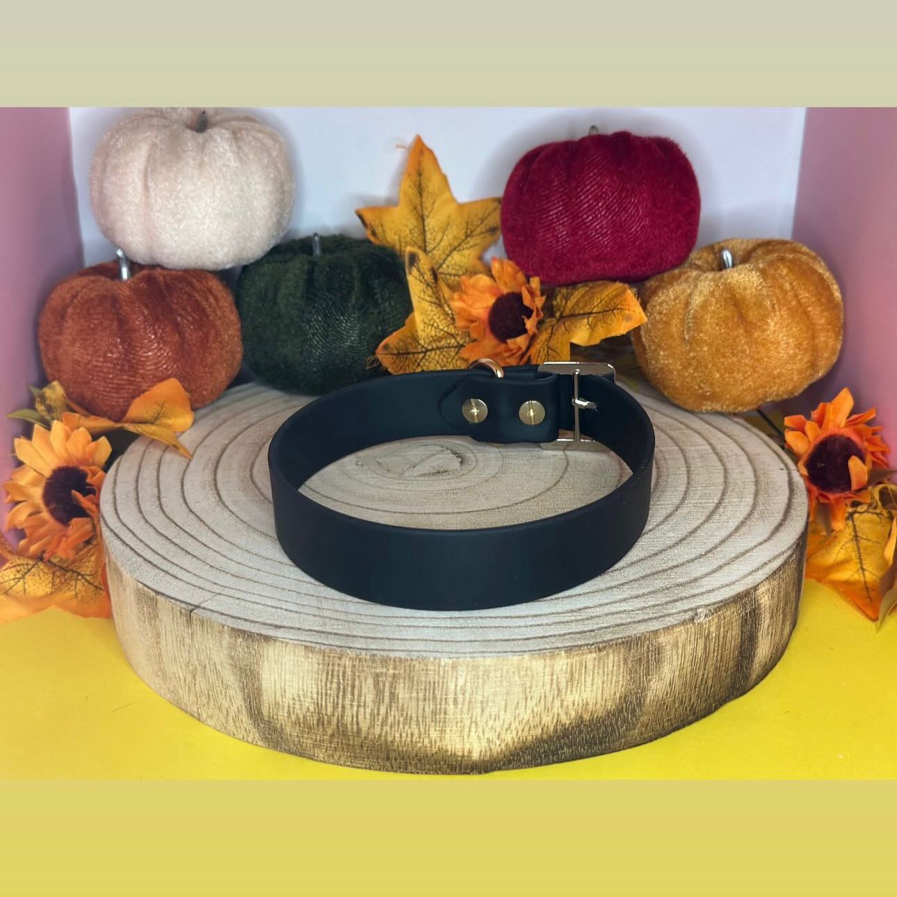 Basic Chic - Beta – Bild 7