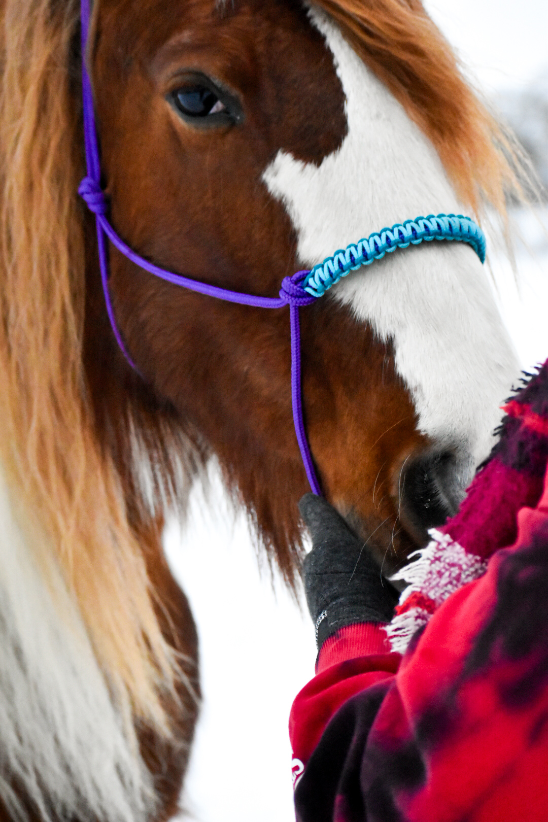 Knotenhalfter Soft Line – Bild 7