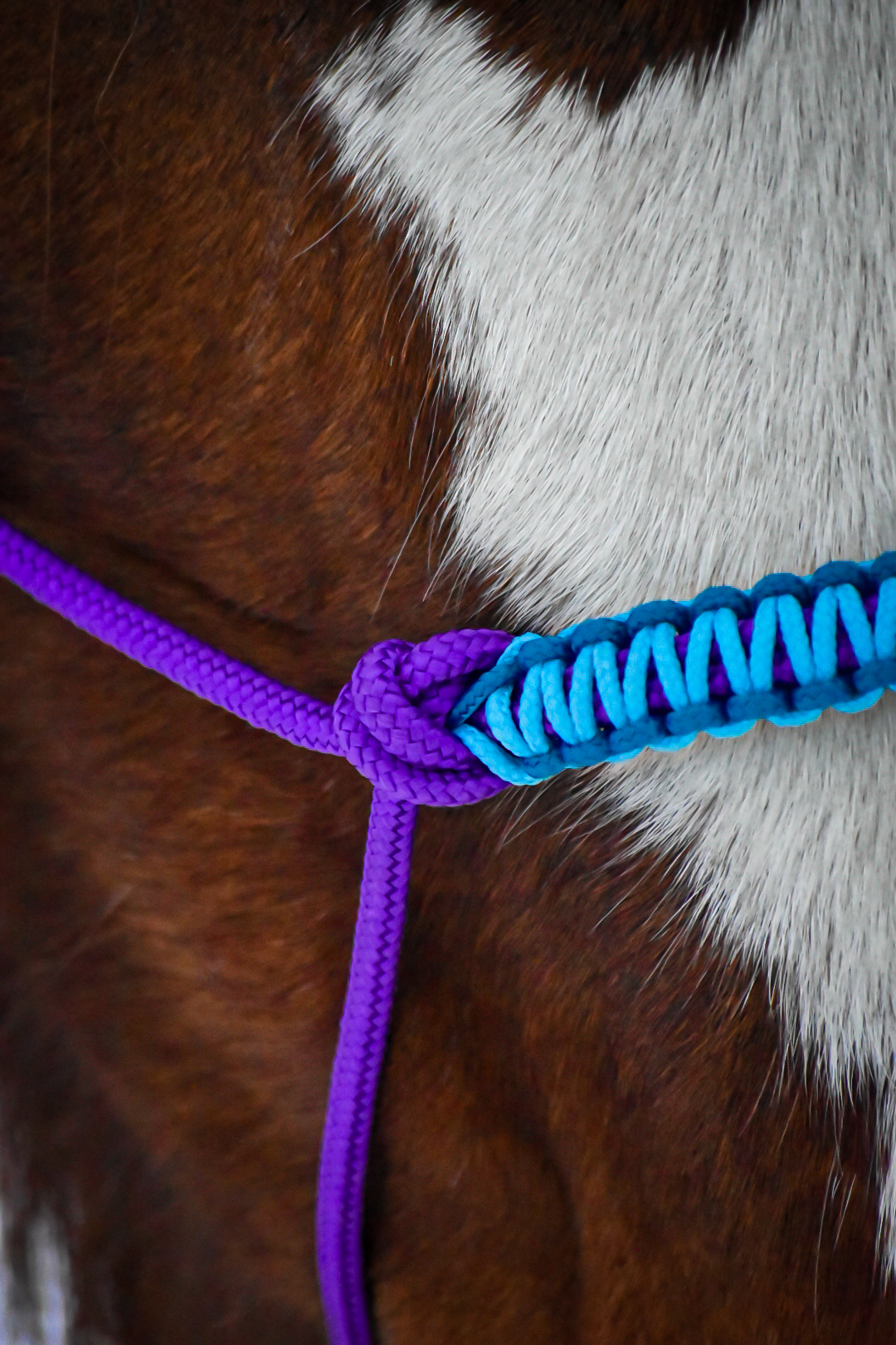 Knotenhalfter Soft Line – Bild 6