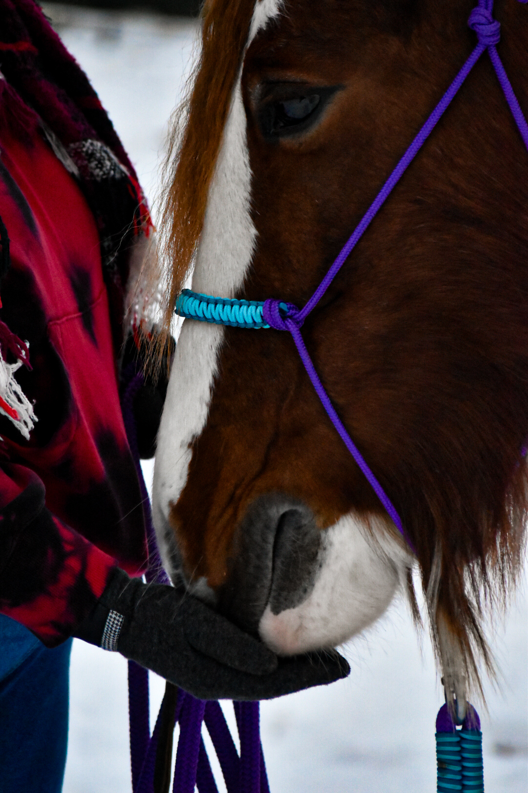 Knotenhalfter Soft Line – Bild 5