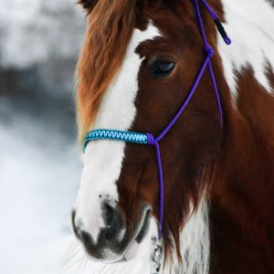 Knotenhalfter Soft Line