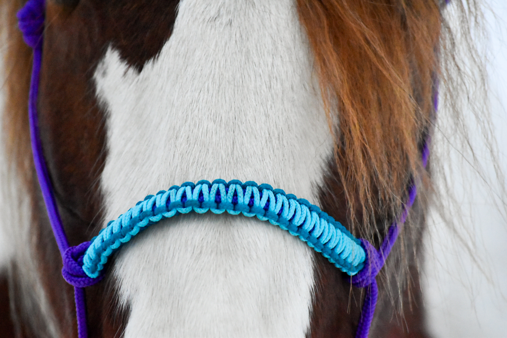 Knotenhalfter Soft Line – Bild 3