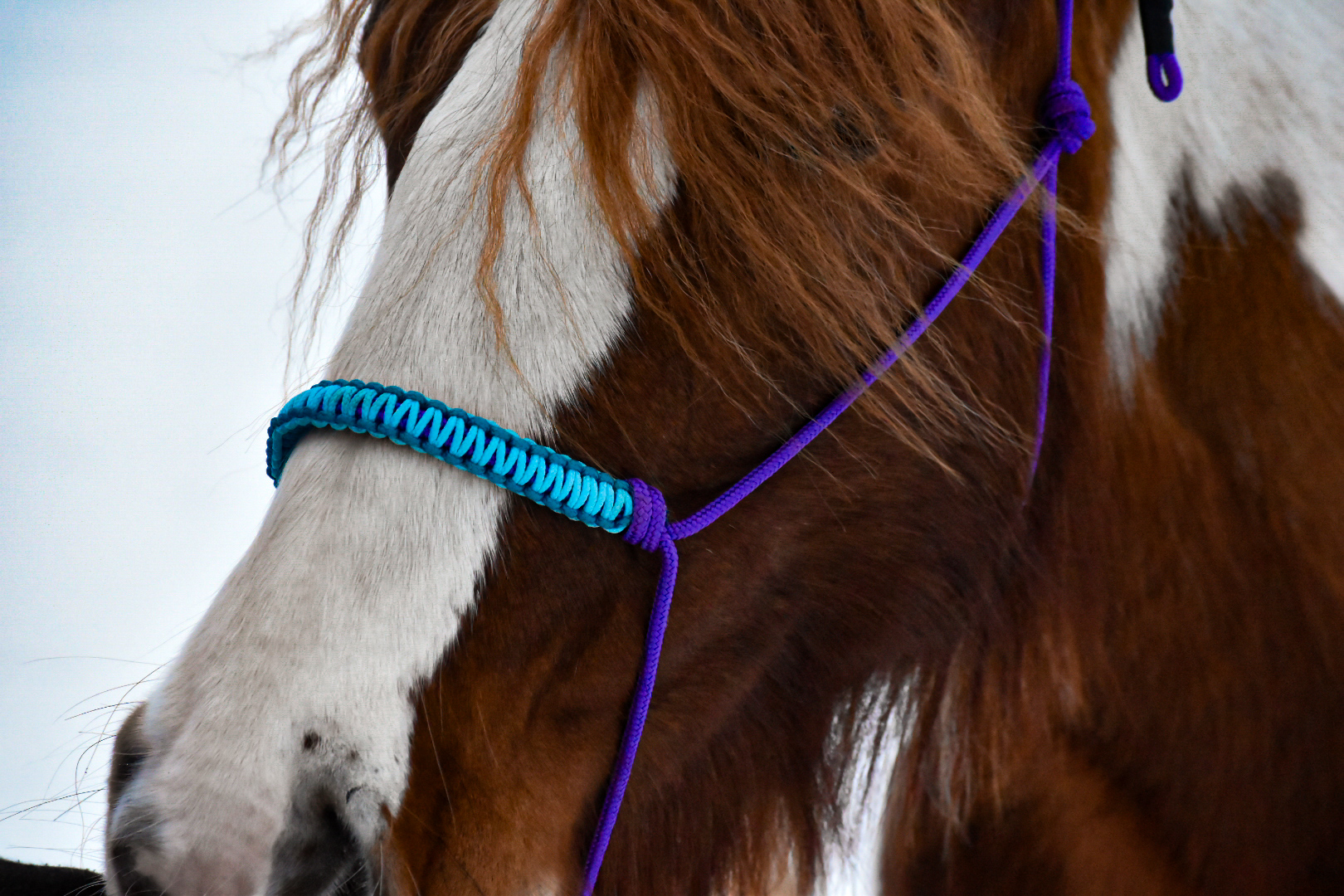 Knotenhalfter Soft Line – Bild 2