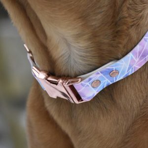 Basic Chic - Bedruckt