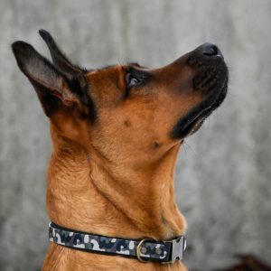 Biothane Halsband mit Verjüngung