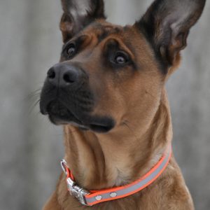 Basic Chic Reflektierend